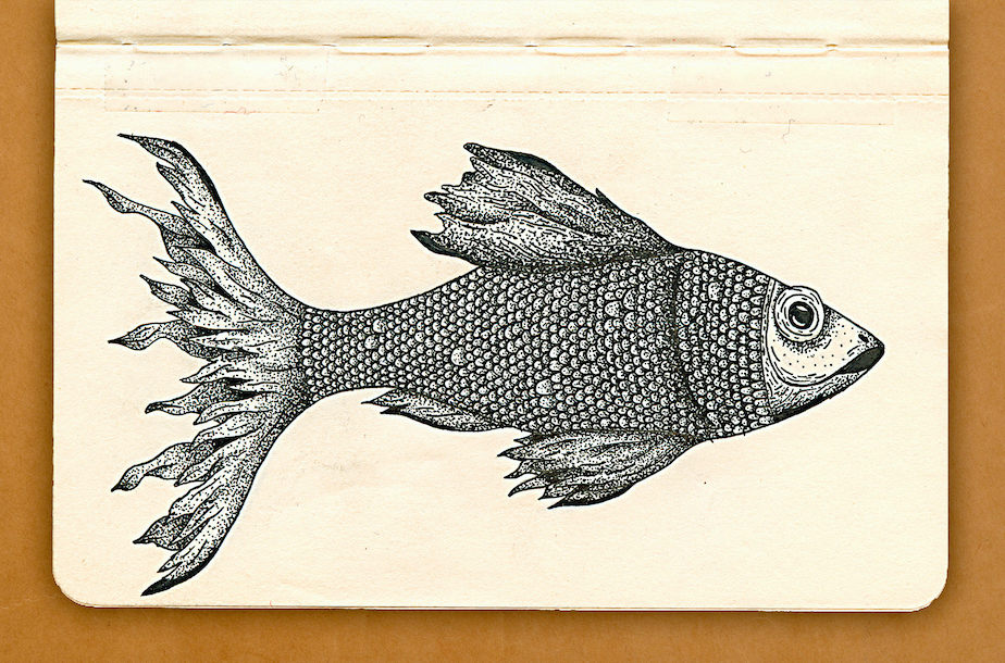 Art & Photo — Illustration and Photography